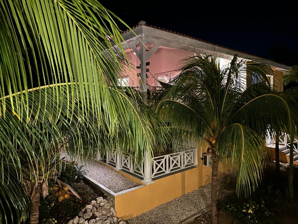 Tropische tuin — Penthouse Tropicana