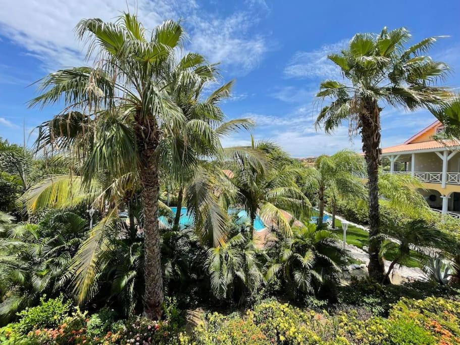 Tuin — Penthouse Tropicana